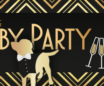 Gatsby party v Blackdogu